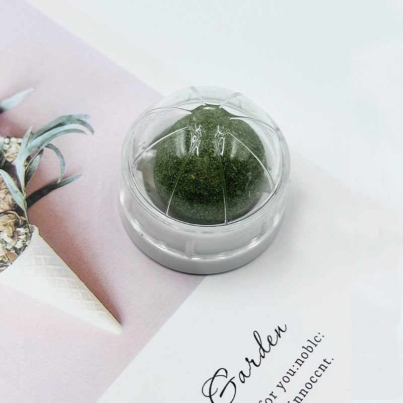 Kindopet™ Cat Teasing Ball & Molar Rod – Interactive Self-Play Toy for Stress Relief