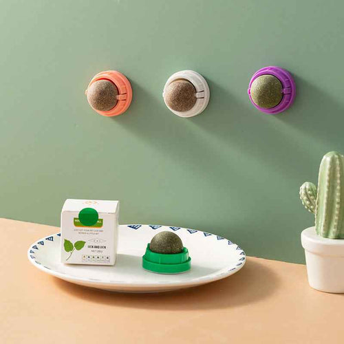 Kindopet™ Cat Teasing Ball & Molar Rod – Interactive Self-Play Toy for Stress Relief