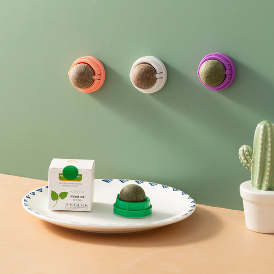 Kindopet™ Cat Teasing Ball & Molar Rod – Interactive Self-Play Toy for Stress Relief