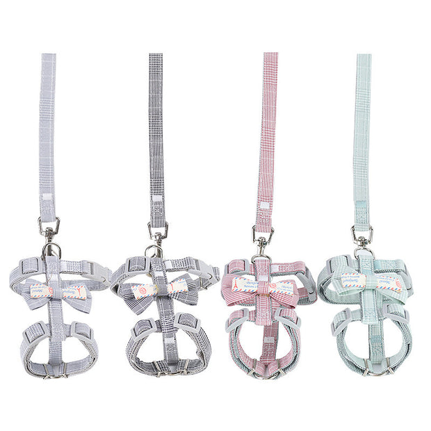 Adjustable Cat Bungee Leash – Retractable Anti-Break Rope – lifestyle photo