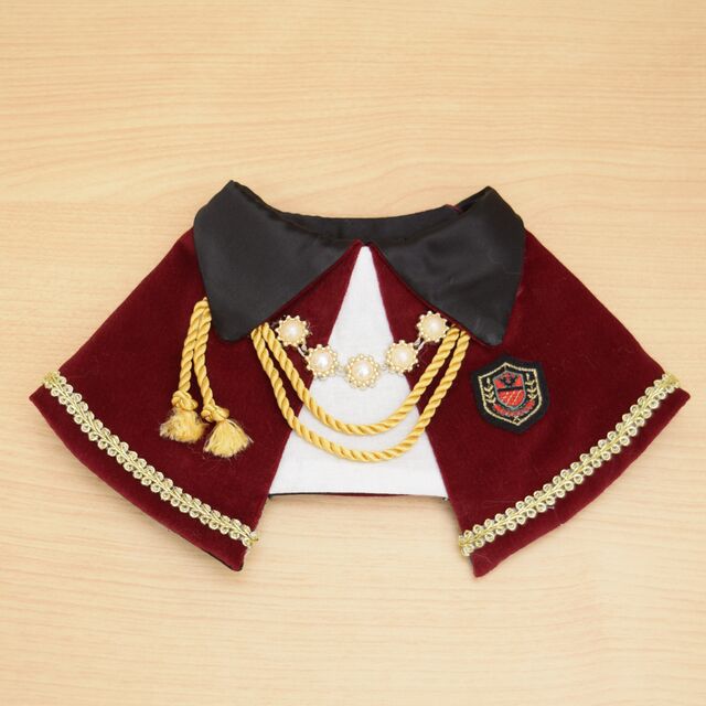 Costume Bib Collar, for cats.
