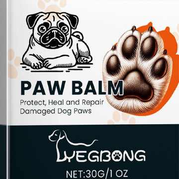 Dog Paw Cleaner Cup & Balm Set – Mud-Free Foot Wash Kit – in use