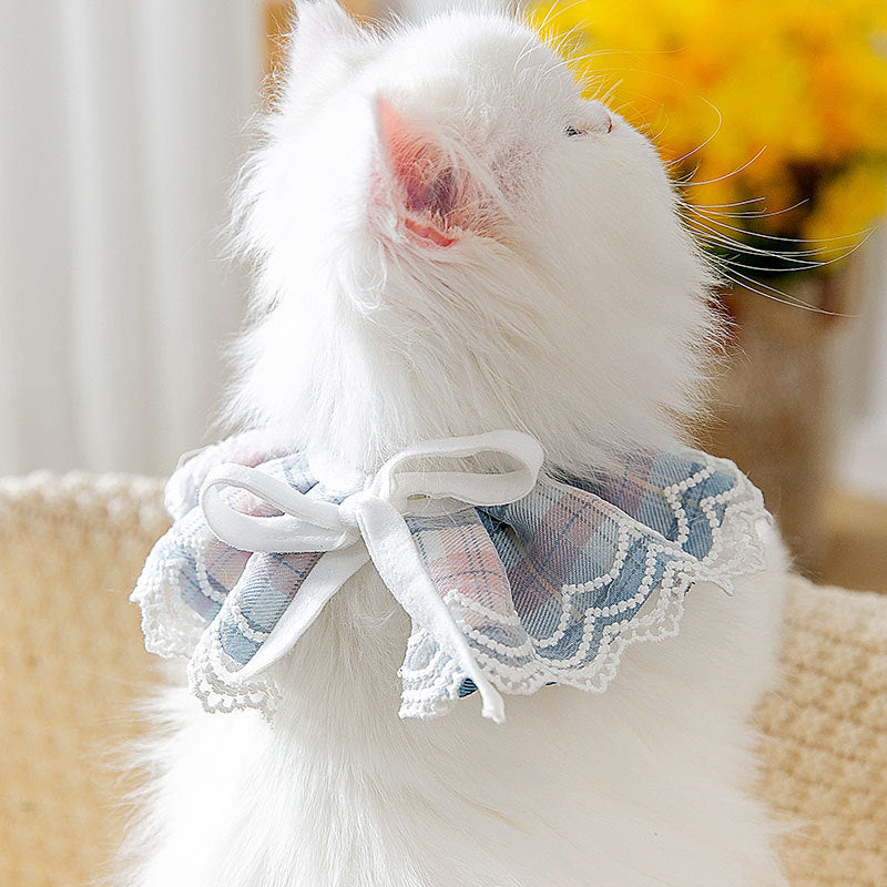 Lattice-Print Scarf Collar, for cats.