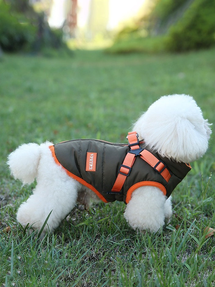 Padded Winter Ski Vest, for dogs.