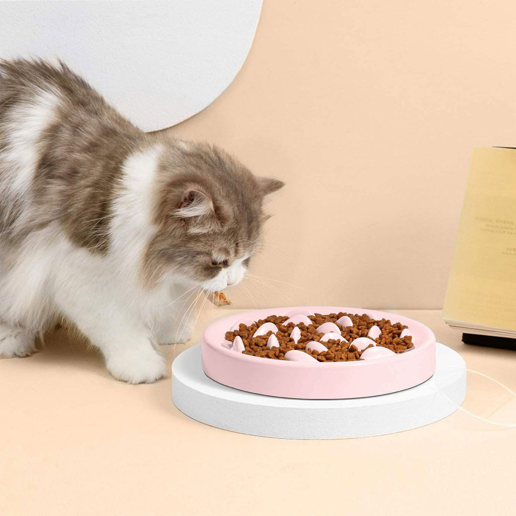 Goldfish-Shaped Slow Feeder Bowl, for dogs and cats.