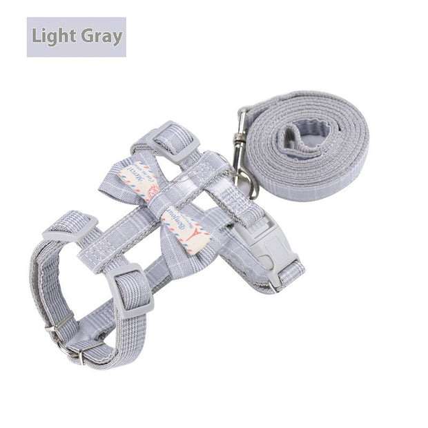 Adjustable Cat Bungee Leash – Retractable Anti-Break Rope – close-up
