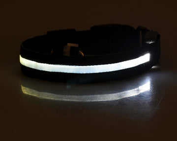 LED Dog Safety Collar – Nylon Glow-in-the-Dark Night Light – pet wearing