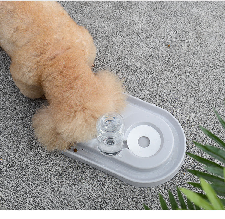 small dog drinking from splash proof pet water dish