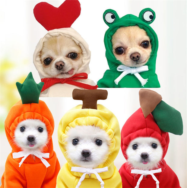 Fruit Pattern Dog Hoodie - Fleece Winter Coat for Small Breeds – lifestyle photo