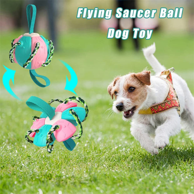 Interactive Dog Soccer Ball - Chew-Resistant Football with Grip Tabs – in use