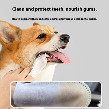 Finger Toothbrush for Cats & Dogs – Teeth Cleaning & Breath Freshener – size reference