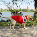 Warm Cotton-Style Sweater, for dogs.