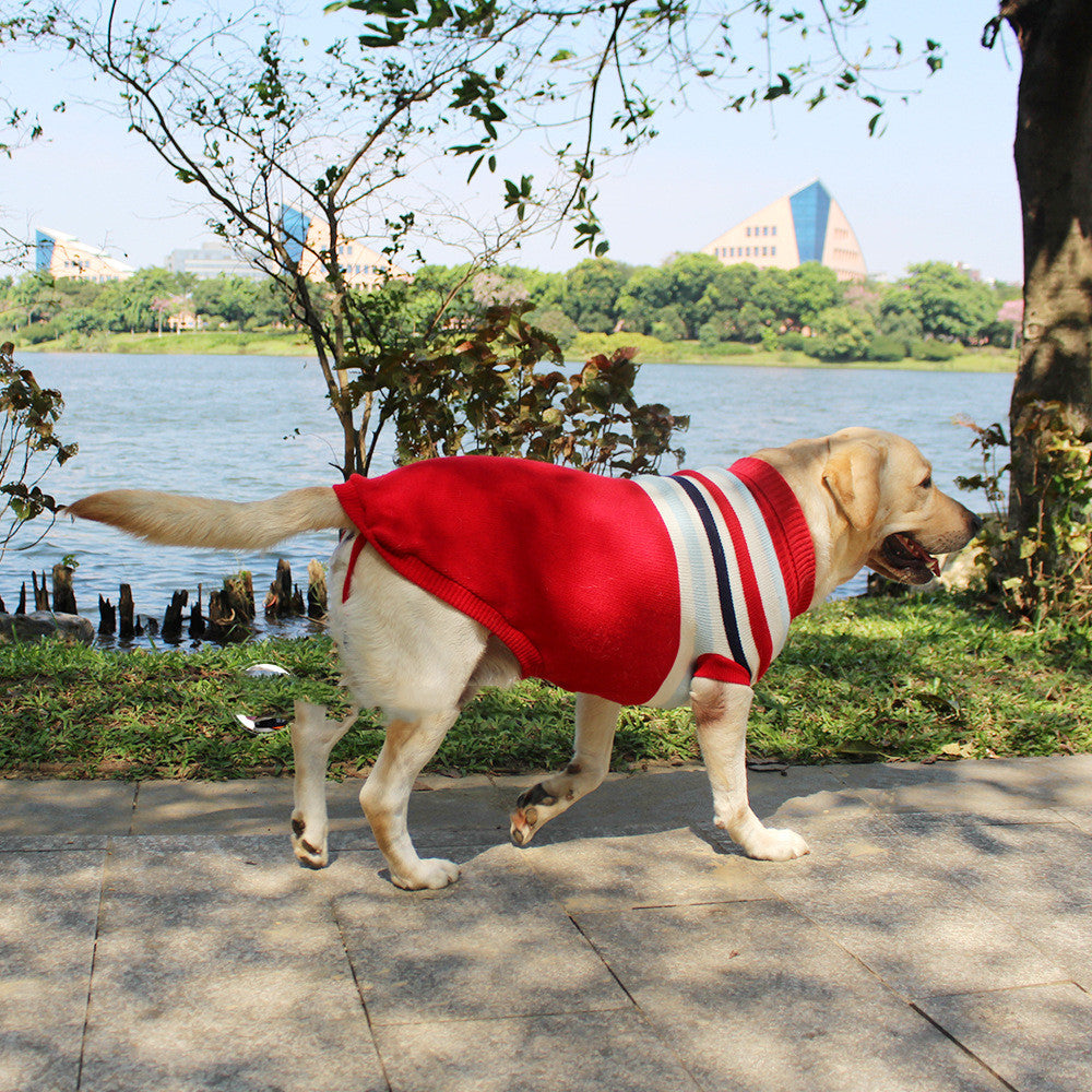 Warm Cotton-Style Sweater, for dogs.
