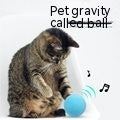Automatic Press-Release Pet Food Feeder for Dogs