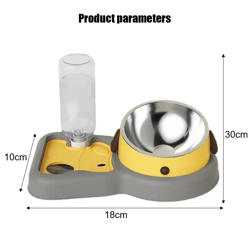 2-in-1 Tilted Feeding Bowl and Water Bottle Set