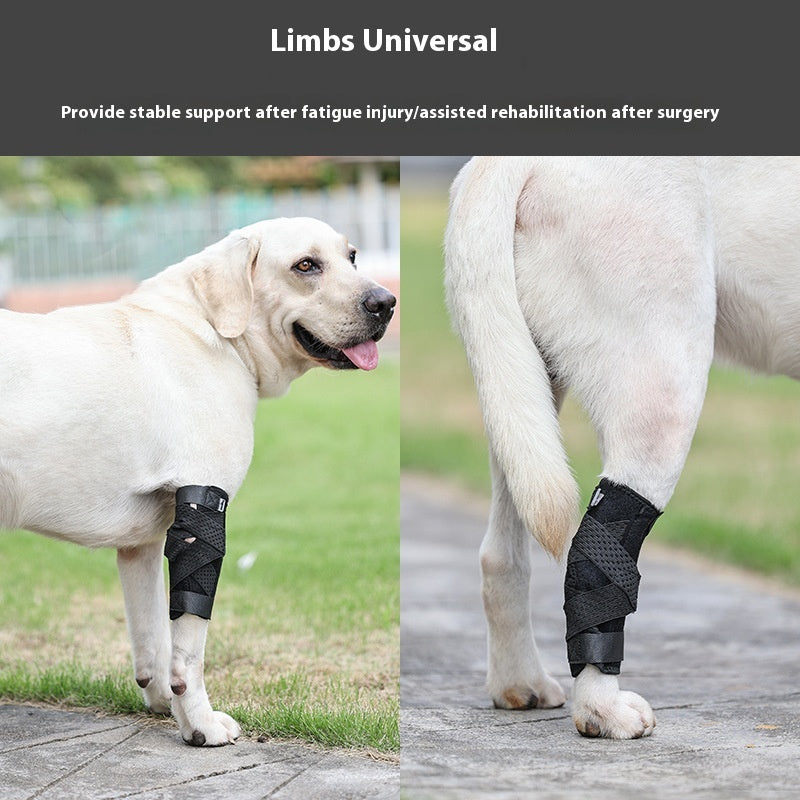 Adjustable Two-Size Auxiliary Support Strap, for dogs.