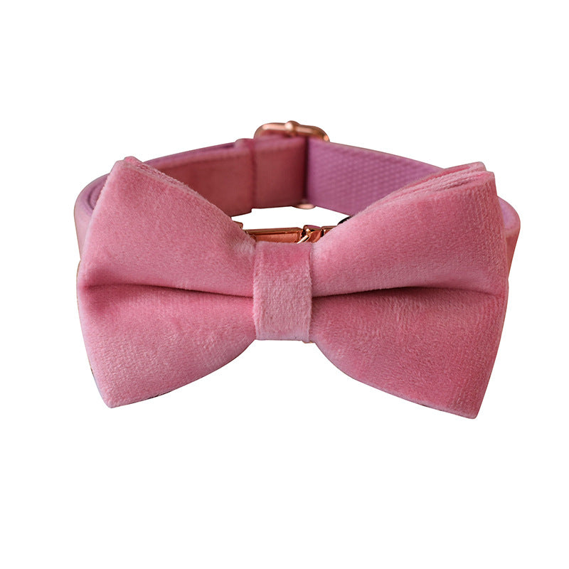Velvet Collar with Rose Gold-Tone Buckle, for dogs and cats.