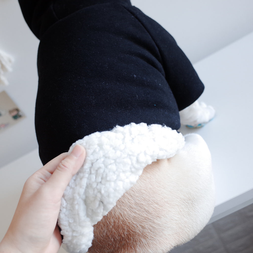 Dinosaur Hooded Lamb Fleece Winter Sweater, for dogs.