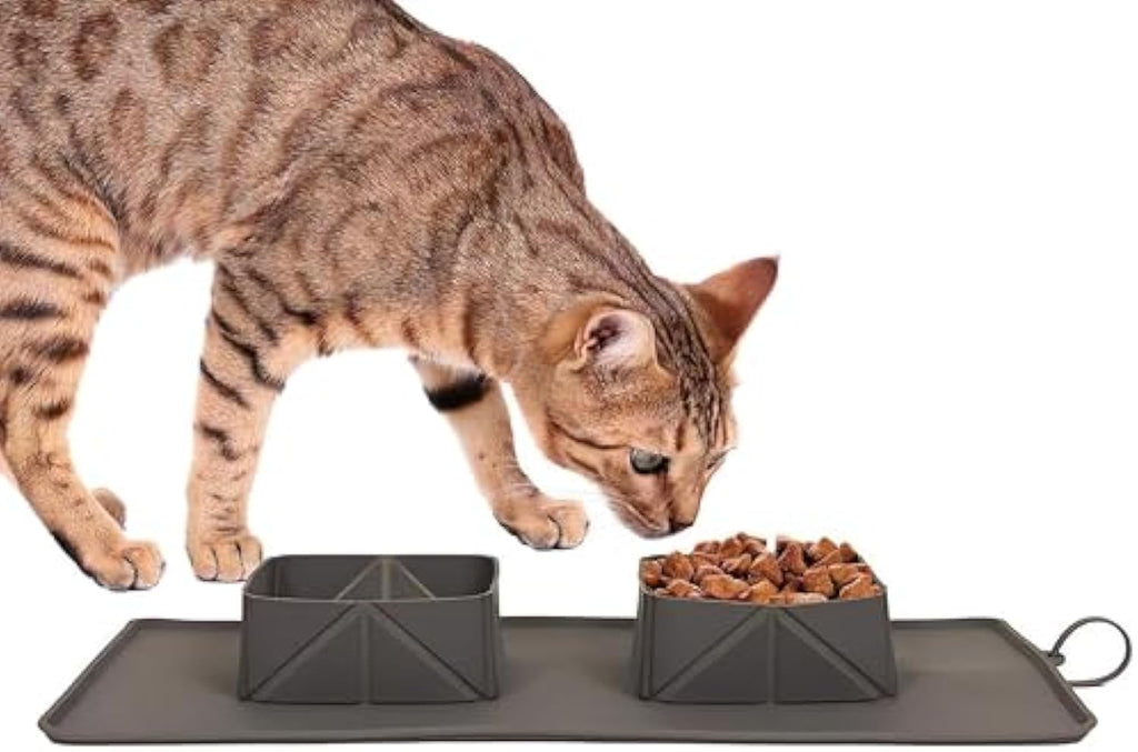 Collapsible Silicone Travel Bowl Set, for dogs and cats.