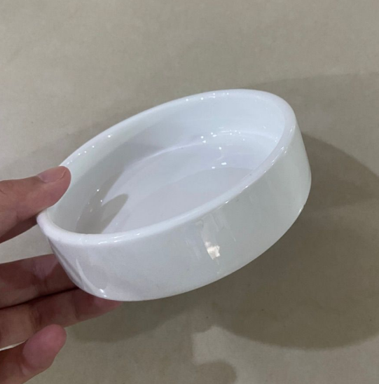 Ceramic Double Cat Bowl Set for Food and Water, for cats.