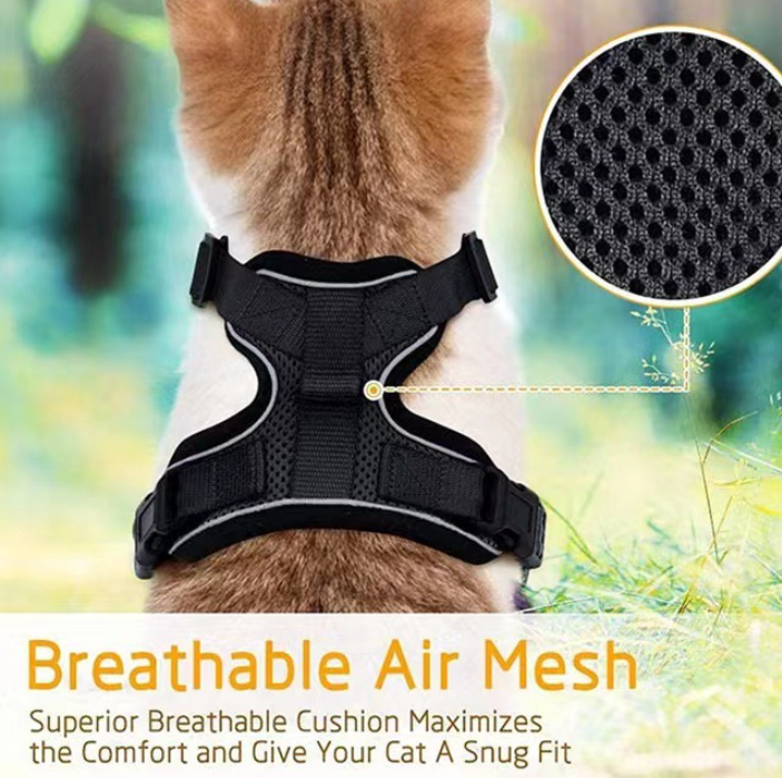Breathable Mesh Chest Harness with Reflective Trim, for cats.
