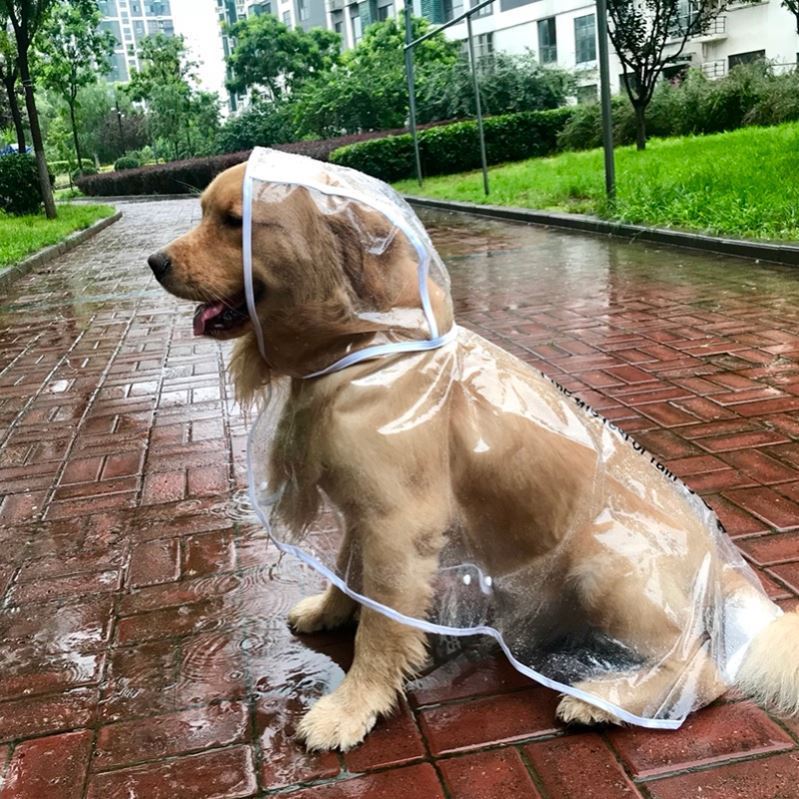 Transparent Polyester Raincoat, for dogs.