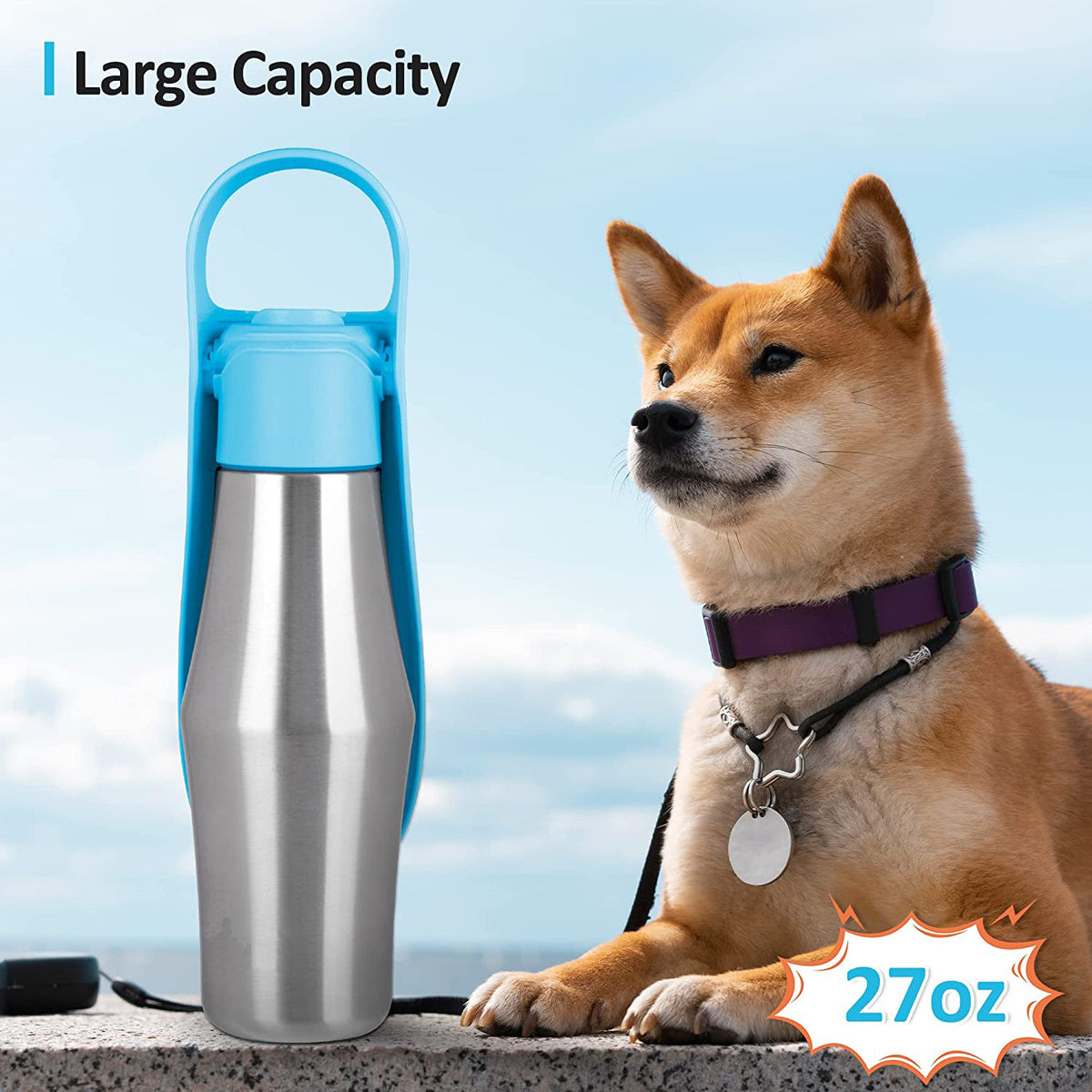 Leak-Proof Stainless Steel Water Bottle for Dogs