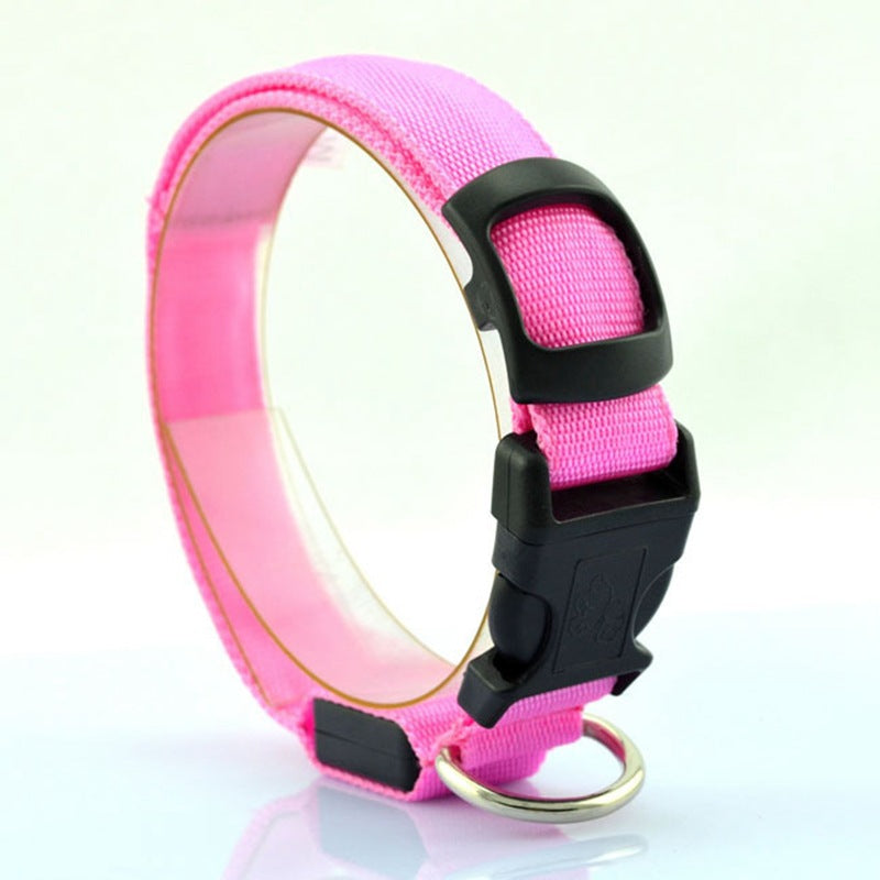 Light-Up Fluorescent Dog Collar with Battery, XS to XL, for dogs.