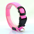 Light-Up Fluorescent Dog Collar with Battery, XS to XL, for dogs.