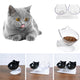 Elevated Double Cat Bowl – 15° Tilted Neck-Protection Food & Water Feeder