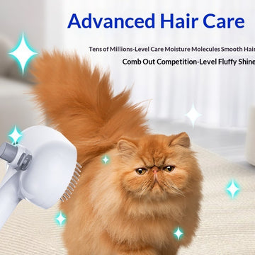 One-Click Pet Hair Removal Spray Brush – Fluff & Fur Lifter – lifestyle photo