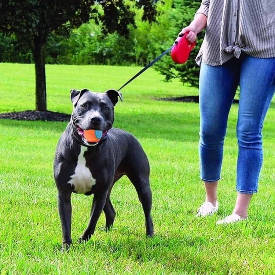 TPR Sound Ball, for dogs.