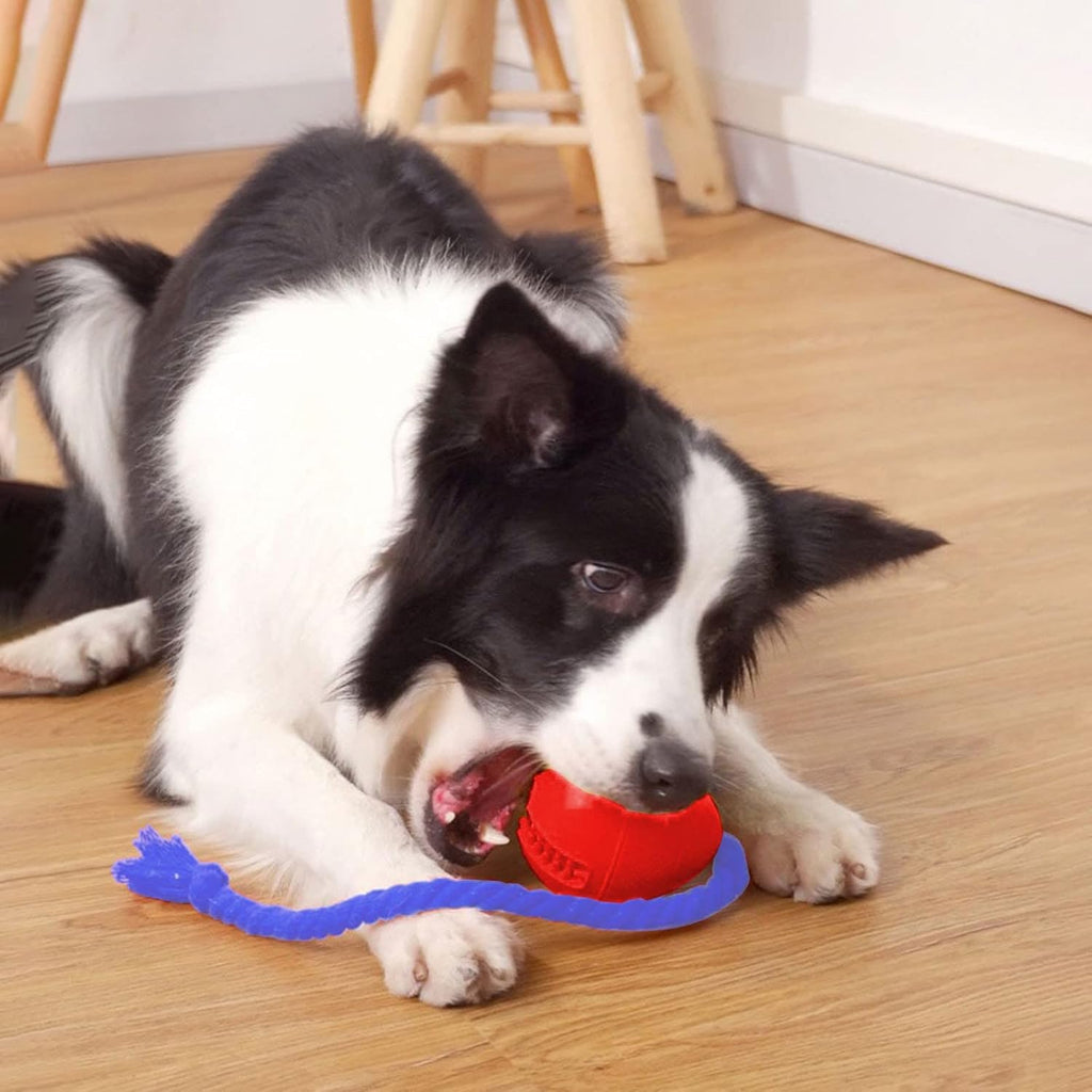 Rubber Treat Dispenser Toy with Rope, Connects to Crate, for dogs.