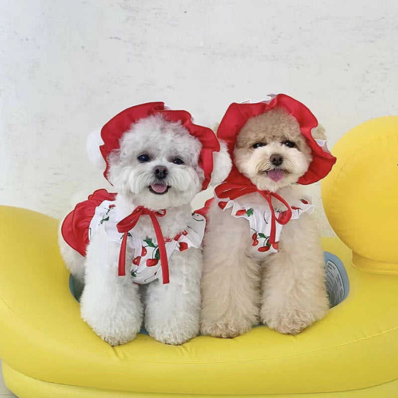 Red Polyester Dog Dress, for dogs.