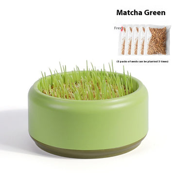 Fast-Growing Soilless Hydroponic Cat Grass Kit with Seeds and Pot – size reference