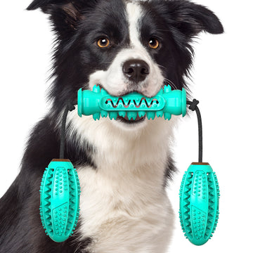 Durable Dumbbell Chew Stick – Teeth Cleaning Dog Toy – detail view