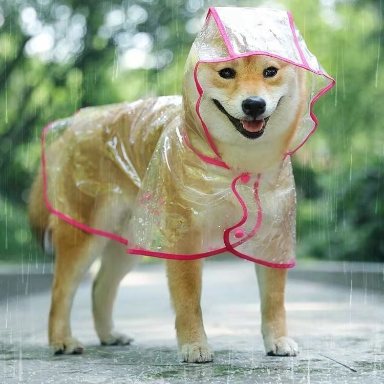 Transparent PU Raincoat, for dogs.