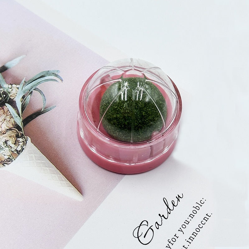 Kindopet™ Cat Teasing Ball & Molar Rod – Interactive Self-Play Toy for Stress Relief