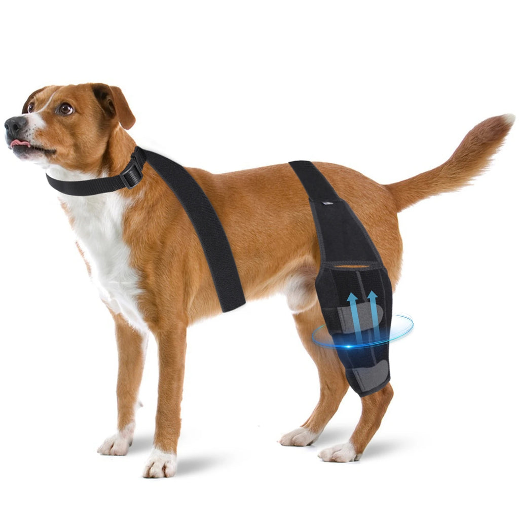Neoprene Knee Protective Cover, for dogs.