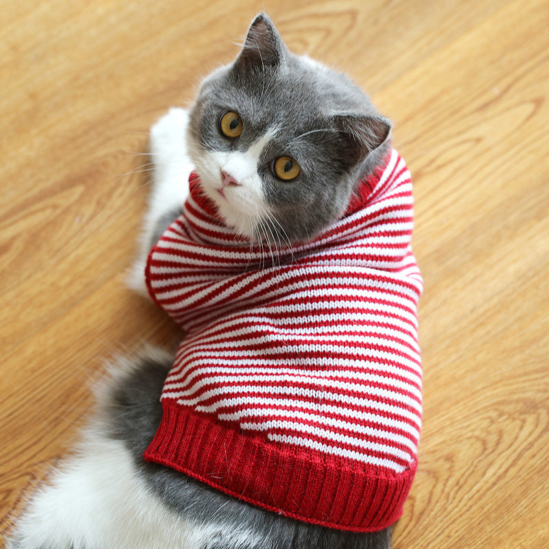 Bulky Acrylic Knit Sweater, for cats.