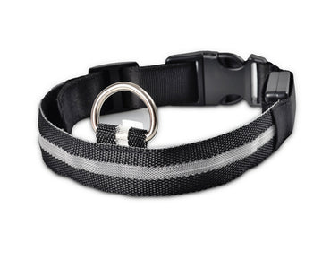 LED Dog Safety Collar – Nylon Glow-in-the-Dark Night Light – angle view