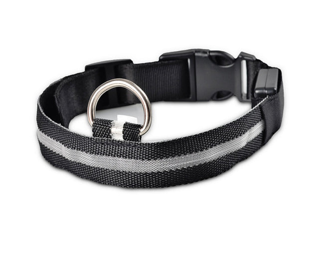 LED Dog Safety Collar – Nylon Glow-in-the-Dark Night Light – angle view