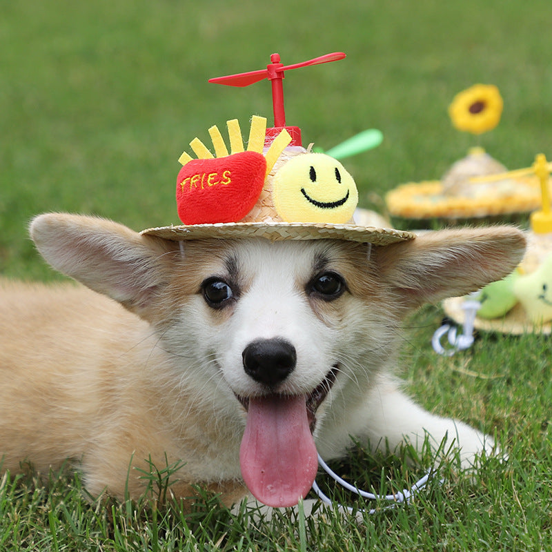 Decorative Pet Hat in Fun Prints, Sized S or M, for dogs.