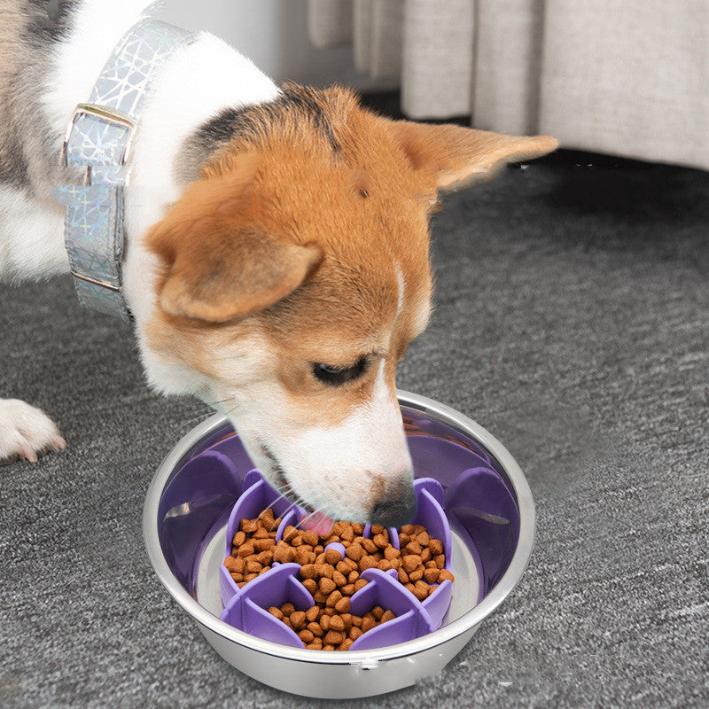 Suction-Base Silicone Feeding Bowl, for dogs and cats.