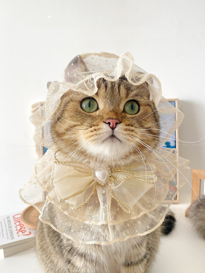 Lace Mesh Hat and Bib Costume Set, for dogs and cats.