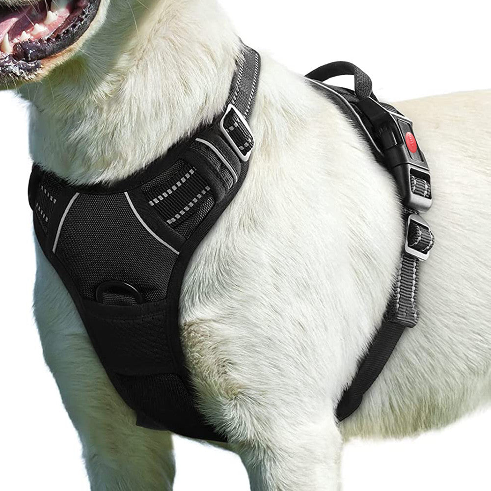 Polyester Chest Strap Harness, for dogs.