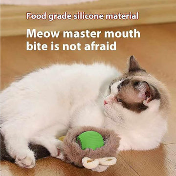 Interactive Self-Rotating Cat Ball – LED Auto-Play Toy – packaging