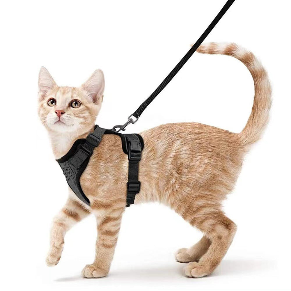 Breathable Mesh Chest Harness with Reflective Trim, for cats.