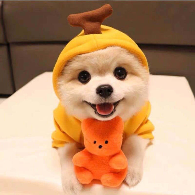 Fruit Pattern Dog Hoodie - Fleece Winter Coat for Small Breeds – side view