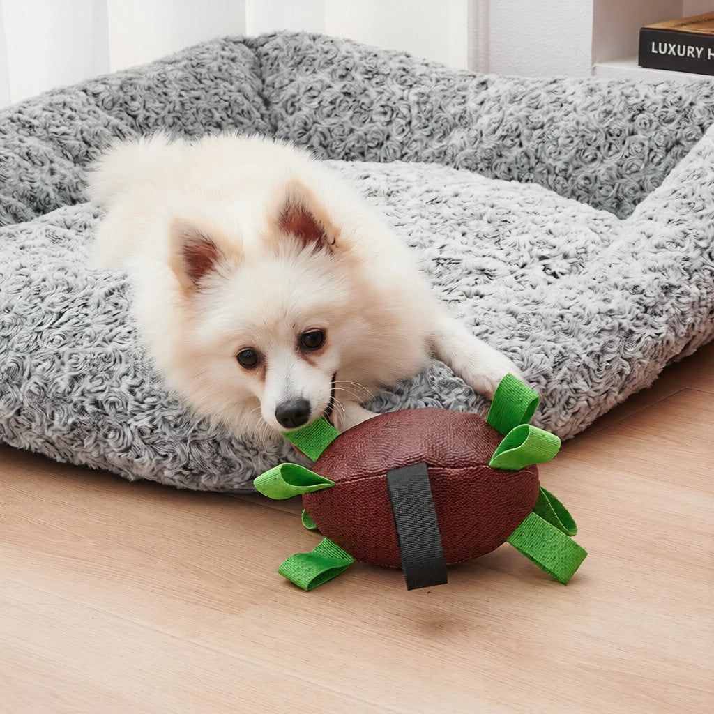 German Shepherd playing tug-of-war with rugby dog toy demonstrating dental cleaning ridges